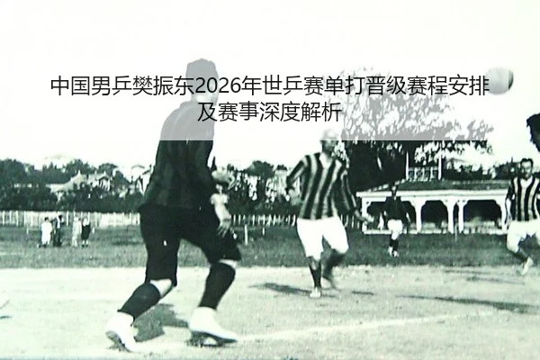 中国男乒樊振东2026年世乒赛单打晋级赛程安排及赛事深度解析