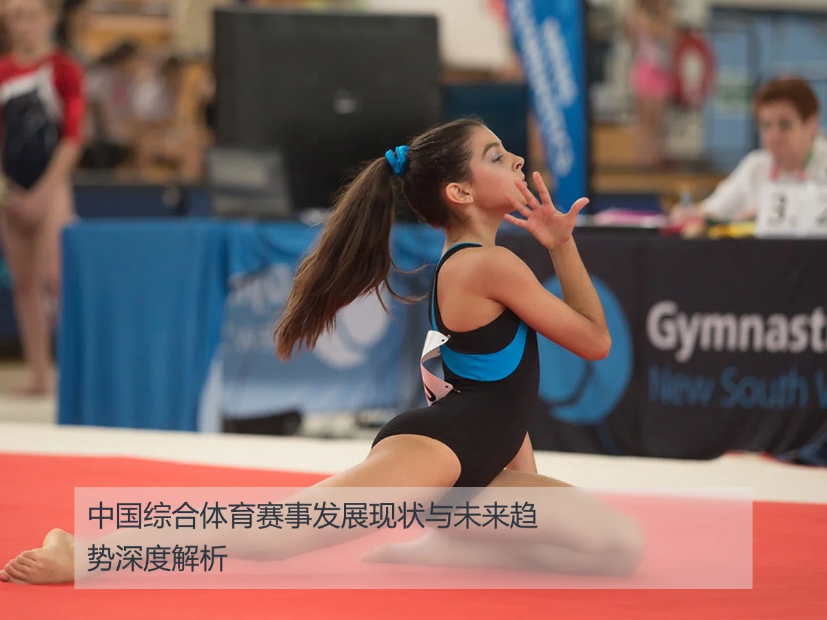 中国综合体育赛事发展现状与未来趋势深度解析