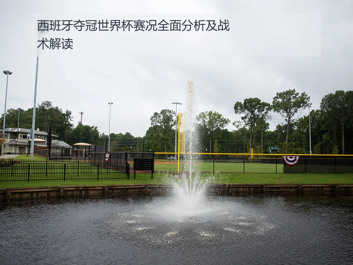 西班牙夺冠世界杯赛况全面分析及战术解读